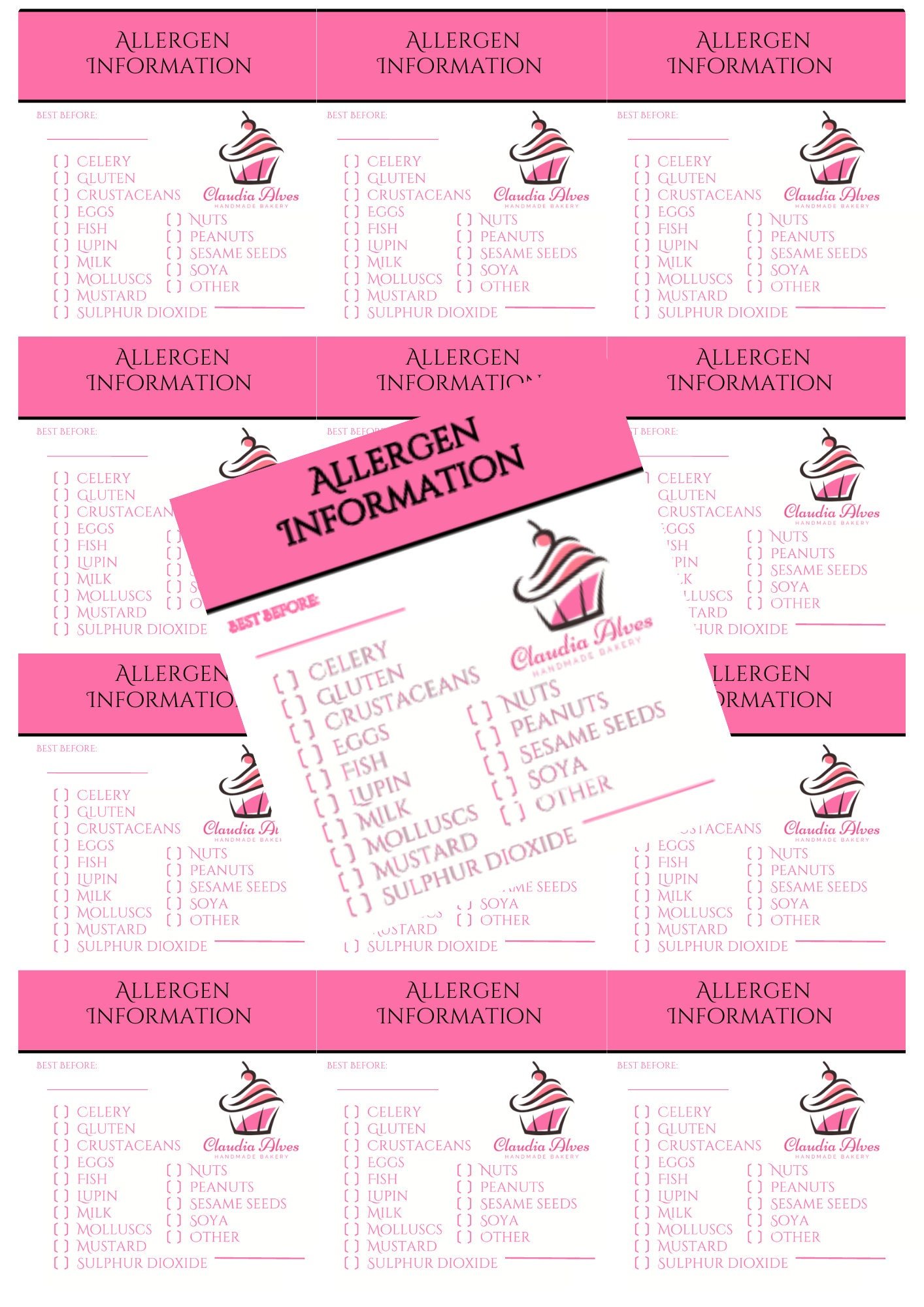 Allergen Gloss Stickers - Image 3