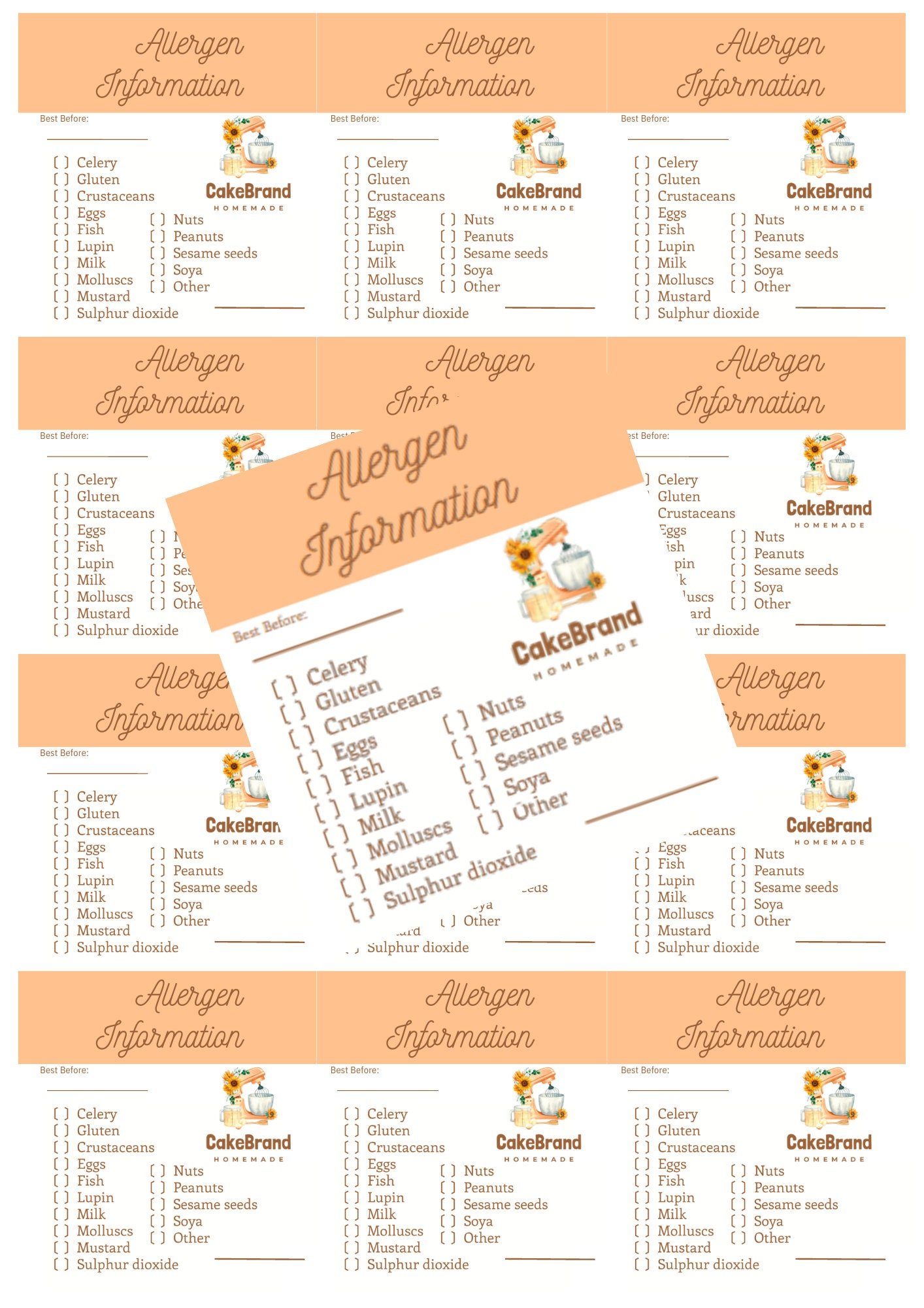 Personalised Allergen Stickers - Image 2